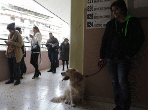 Një grek po pret të votojë në një qendër votimi në Athinë më 25 janar 2014. 
